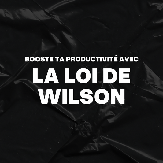 GUIDE | Booste ta productivité avec la Loi de Wilson.📎🔮